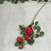 IMG_5275