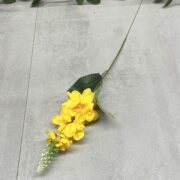 IMG_4544
