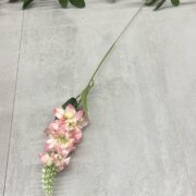 IMG_4546