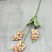 IMG_4561
