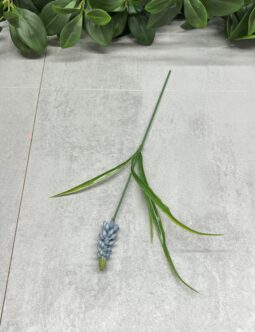 Szafirki na piku BLUE YD363