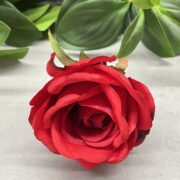 IMG_5756