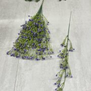 IMG_6033