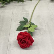 IMG_6315
