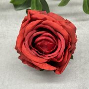 IMG_6467