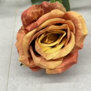 IMG_6479