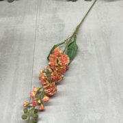 IMG_6605