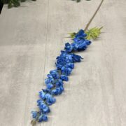 IMG_6628