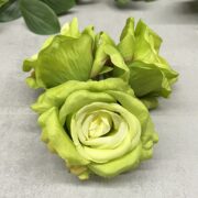 IMG_6677