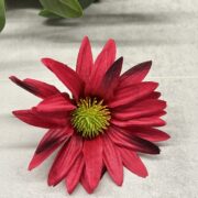 IMG_7643