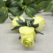 IMG_7844