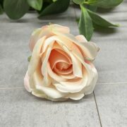 IMG_8030