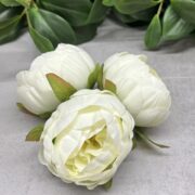 IMG_8070