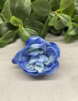 Peonia wyrobowa IRC5