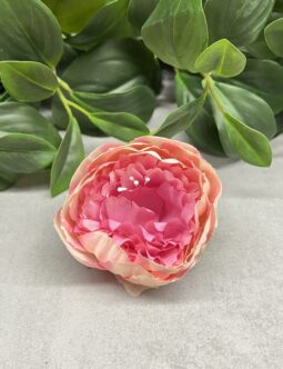 Peonia wyrobowa IRC5