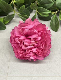 Peonia wyrobowa L-057