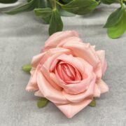 IMG_0582