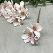 IMG_0691