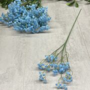 IMG_1076