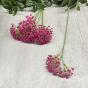 IMG_1081