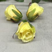 IMG_9659