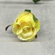 IMG_9660