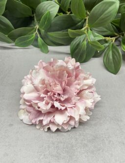 Peonia podsuszana 410176H