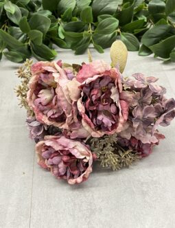 Peonia zasuszana 147023