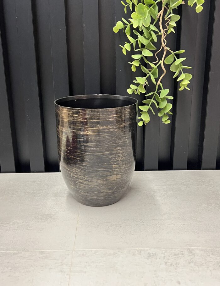 IMG_3653