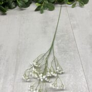 IMG_3903
