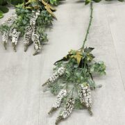 IMG_4558