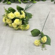 IMG_4784