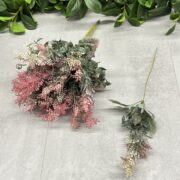 IMG_4994