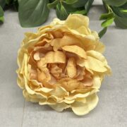 IMG_5489