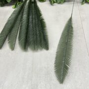 IMG_5696