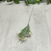 IMG_5765