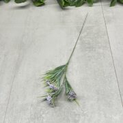 IMG_5769