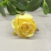 IMG_7673