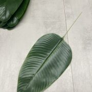 IMG_7811