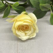 IMG_8271