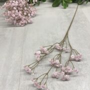 IMG_8319