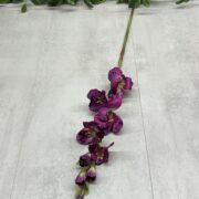 IMG_0047
