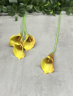 Calla/Kalla Gałązka DON006