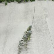 IMG_0219