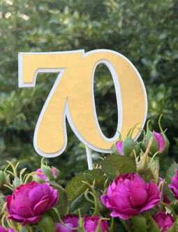 Toppery 70 1070BZ