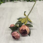 IMG_0325