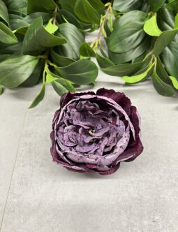 Peonia zasuszana wyrobowa T110-2530