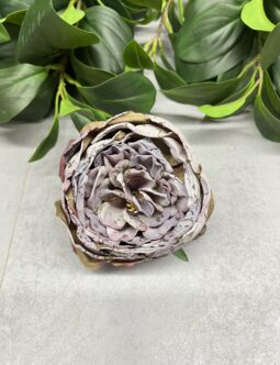Peonia zasuszana wyrobowa T110-2530