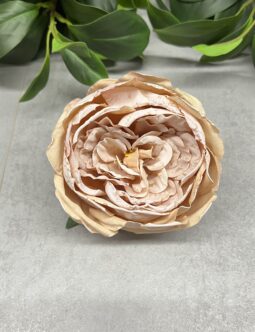 Peonia zasuszana wyrobowa T110-2530