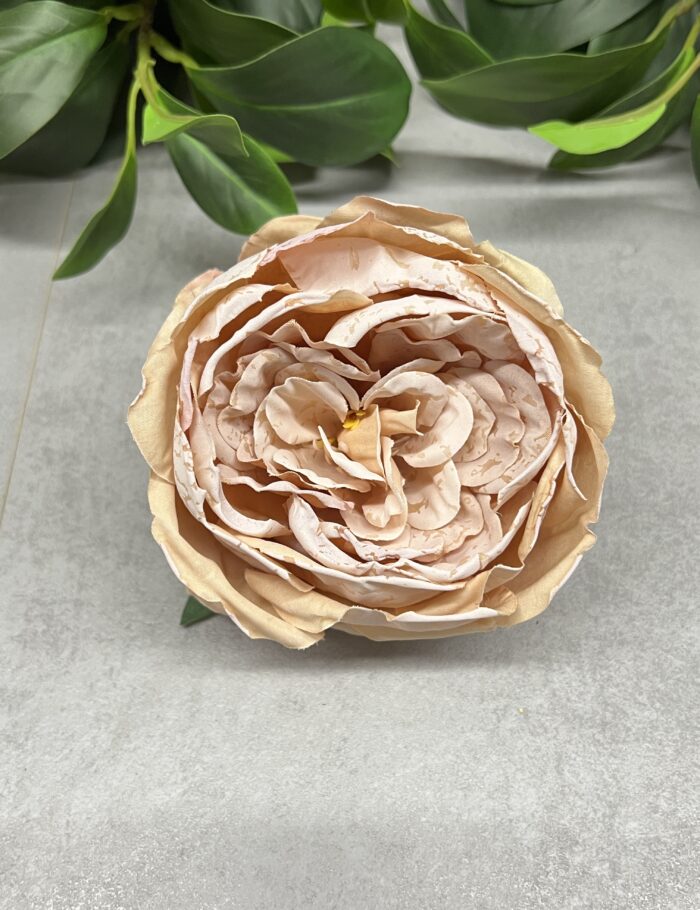 IMG_0348 IMG_0348